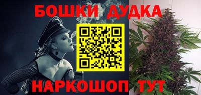 прущие крисы Гатчина