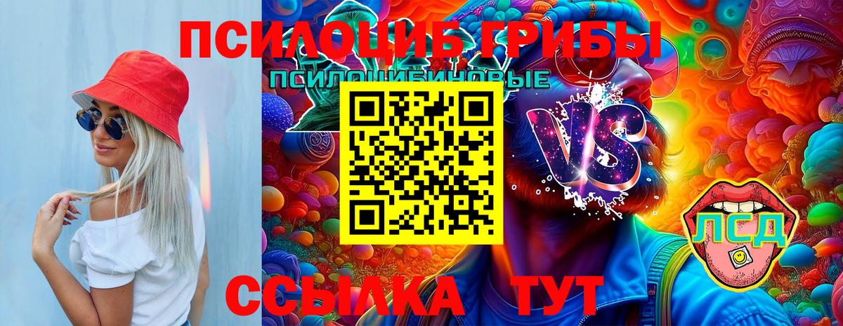 Псилоцибиновые грибы Cubensis Карачаевск